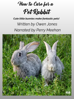 cover image of How to Care For a Pet Rabbit